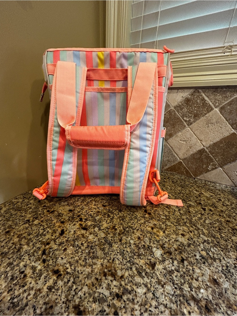 Fluorescent orange Stripe Backpack cooler